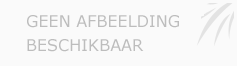 Afbeelding › Healthy lifestyle